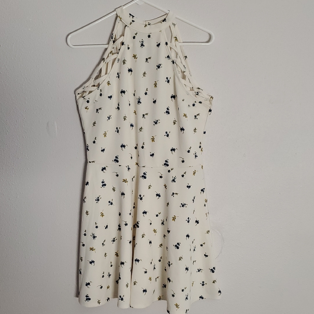No Boundaries Cream and Blue Floral Dress